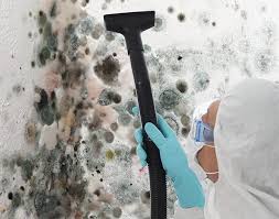 Best Mold Prevention Services  in Ara, AL